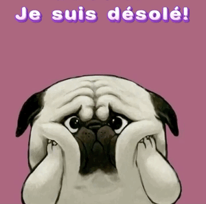 Gif animé je suis désolé chien